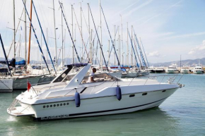 Boat Sunseeker